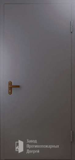 Фото двери «Техническая дверь №1 однопольная» в Ступино