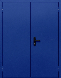 Фото двери «Двупольная глухая №33» в Ступино