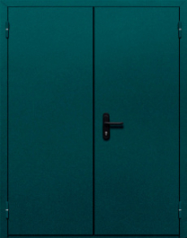 Фото двери «Двупольная глухая №36» в Ступино