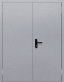 Фото двери «Двупольная глухая» в Ступино